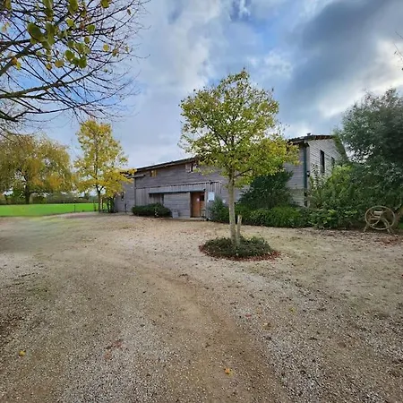 Cote Champ - 2 - Domaine Le Revers De Vignat Loisy-sur-Marne